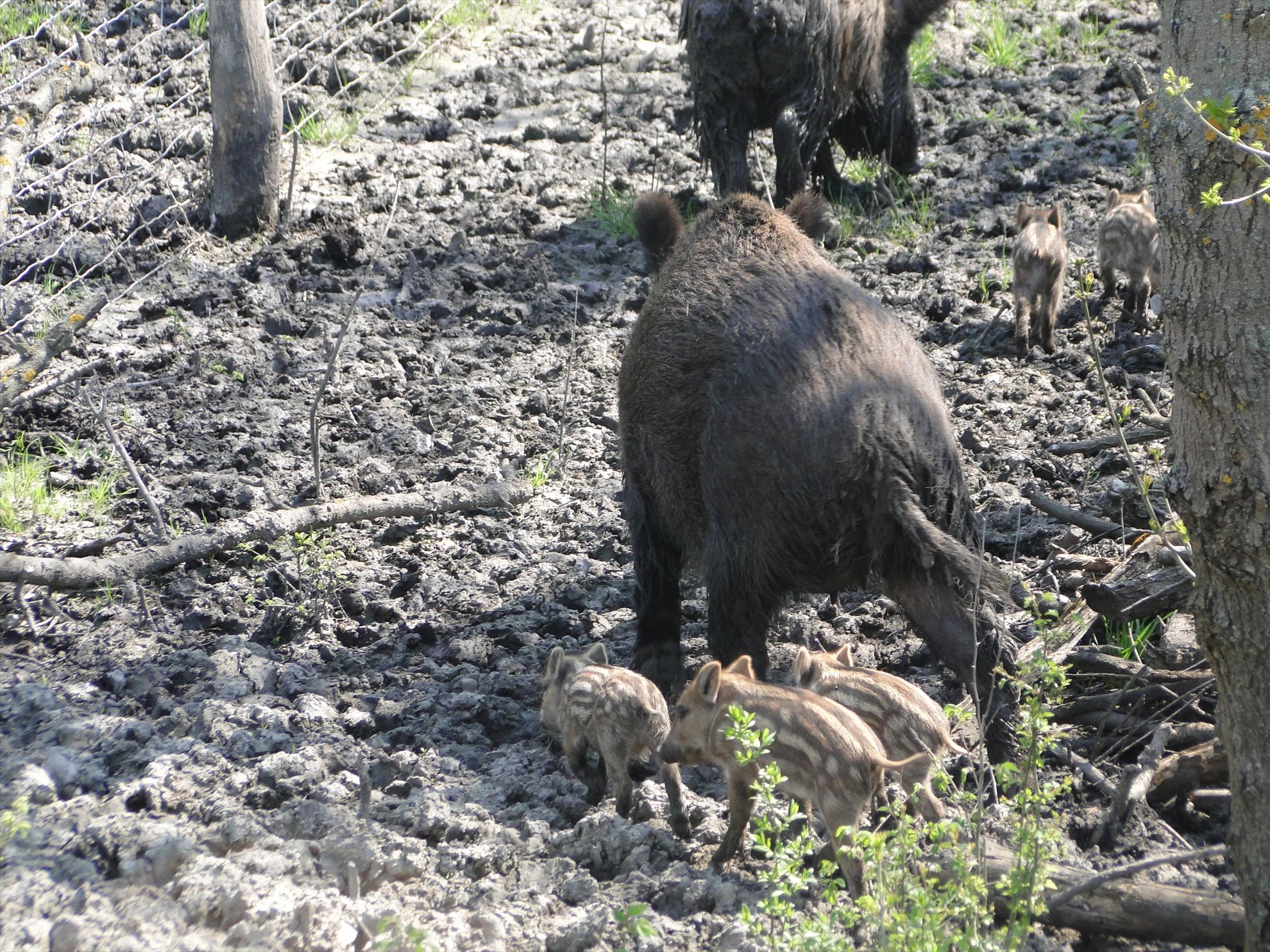 Derek - dsc08320.JPG